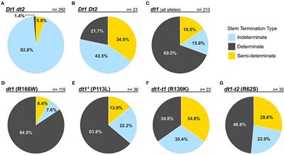Utilization of Plant Architecture Genes in Soybean to Positively Impact Adaptation to High Yield Environments